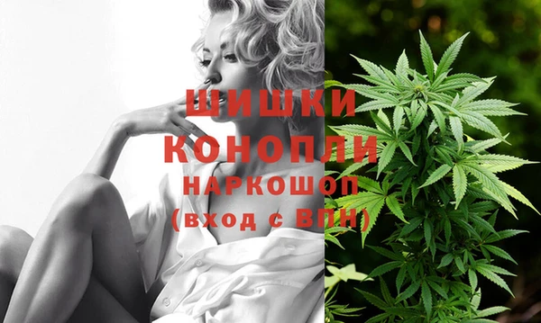 ГАЛЛЮЦИНОГЕННЫЕ ГРИБЫ Вязники