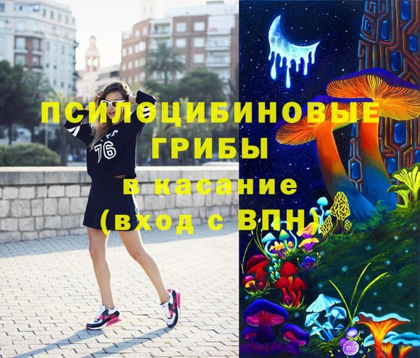 ГАЛЛЮЦИНОГЕННЫЕ ГРИБЫ Вязники